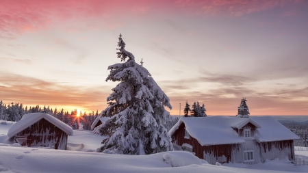 forest cabins covered in snow at sunset