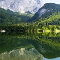 Gruner Forest,Austria