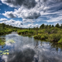 The Nature of the River