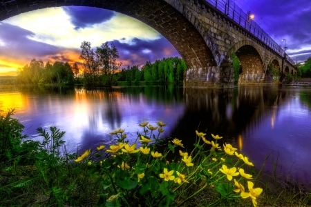 Honefoss, Norway - north, serenity, calm, norway, town, reflection, beautiful, river, city, flowers, bridge, europe