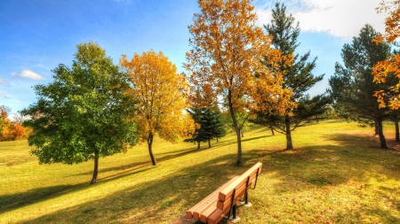 Autumn Park - sky, trees, park, bench, grass