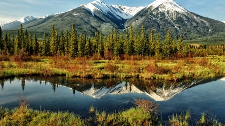 Reflection - water, forest, mountain, mirror