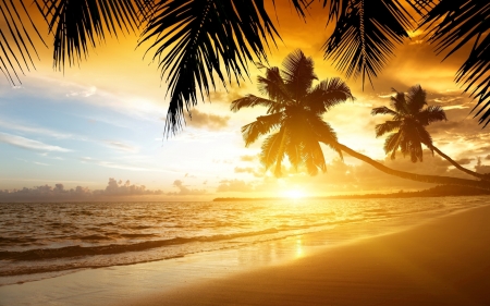 Beach Paradise - beach, sky, trees, landscape, sun, sunset, palm, nature, clouds, sea, sand