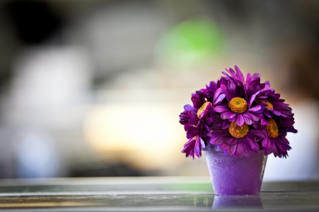 Little flowers - summer, flower, purple, pink, little, vase, yellow