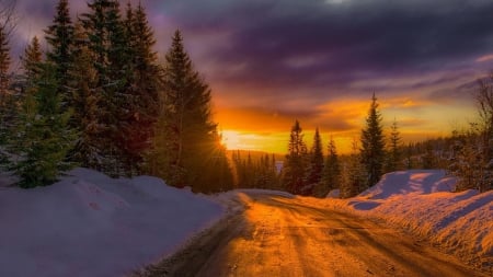 sunrise over a winter forest road in norway