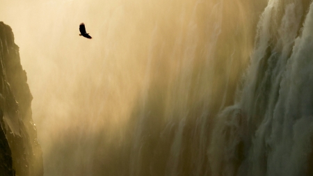 eagle gliding over a watefall - cliff, eagle, waterfall, mist