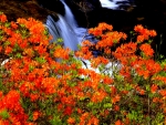 Spring Waterfall