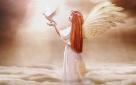 Angel - bird, dove, girl, angel, peace, fantasy, white, redhead, woman, wings, luminos