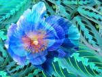 Blue poppy