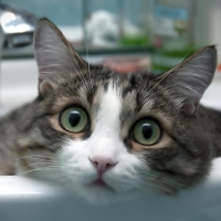 laying in tub