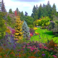 Queen Elizabeth Garden