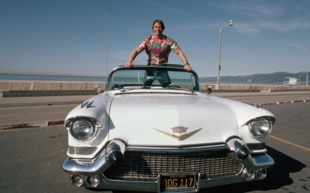 arnold schwarzenegger - schwarzenegger, car, arnold, man