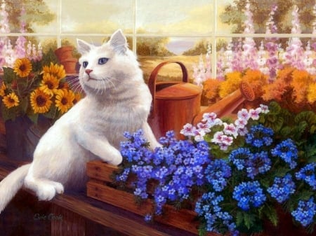 White Cat of Greenhouse - white cat, summer, paintings, flowers, cats, love four seasons, watering can, draw and paint, animals, kitty