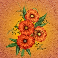 ORANGE DAISIES