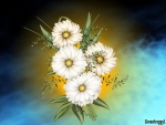 WHITE DAISIES