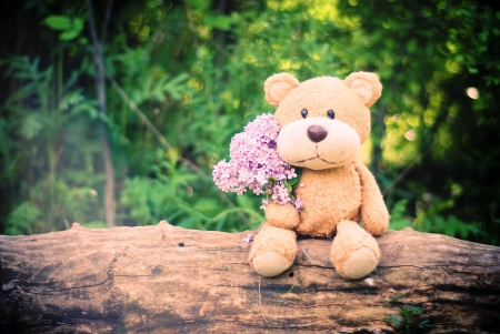 Little Dreamer - flowers, teddybear, artwork, bouquet, tree