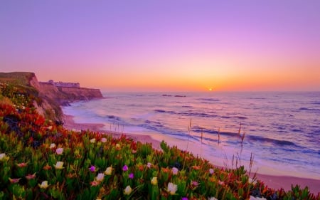 Coastal sunset - coast, beach, beautiful, sea, ocean, flowers, sunset, waves, sky