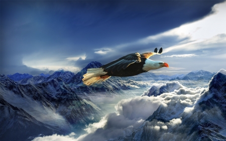 SEA EAGLE - flying, eagle, clouds, wings, mountains, bird