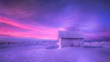 snow covered hut in purple prairie - purple, prairie, winter, trees, hut, snow