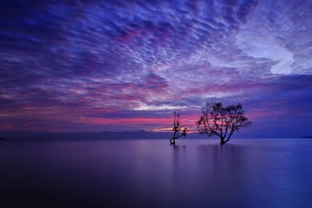 Serene Lake - trees, water, evening, tree, sunset, purple, lake, mountains, sky