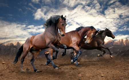 Power of nature - clouds, horses, energy, moving, power