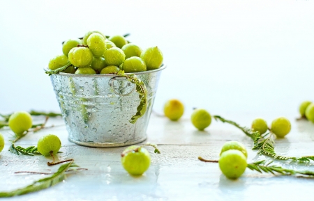 Fresh Fruits - fruits, water, green, bucket