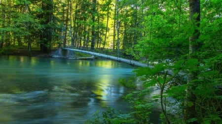 hanging pedestrian bridge over flowing river - river, forest, flowing, bridge