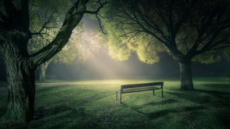 park bench under a light at night - trees, night, park, bench, lamp, grass, mist