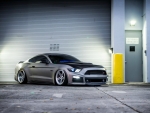 Roush-Mustang-GT