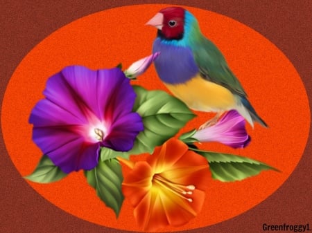 FINCH ON MORNING GLORY - flowers, creation, bird, finch