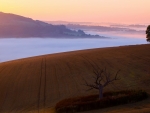 mountainside field above the clouds