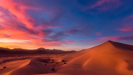 Desert - nature, sky, sand, dunes