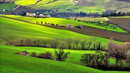 beautiful rural landscape - farms, hills, fields, trees, green