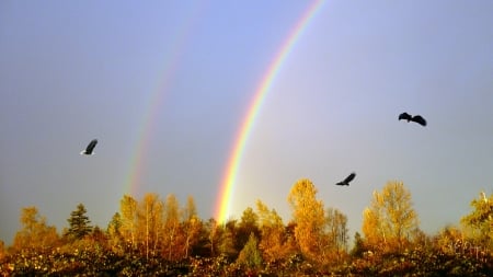 Autumn Double Rainbow - sky, autumn, fall, trees, eagles, rainbows, firefox persona theme, country