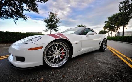 Proud by itself - palms, chevrolet, road, corvette