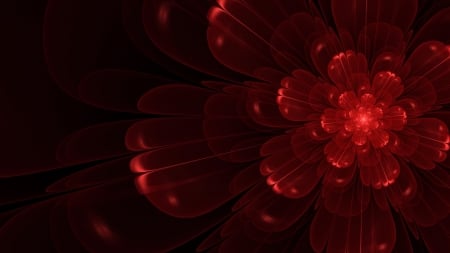 red flower - wallpaper, abstract, flower, red