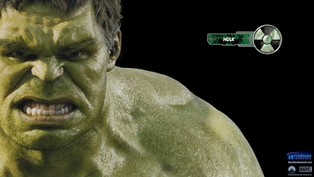 The Avengers - Hulk - hulk, movie, film, the avengers, robert bruce banner, character