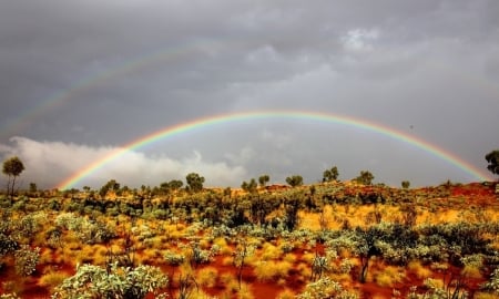 Double Rainbow - Field, Rainbow, Shrubs, Sky