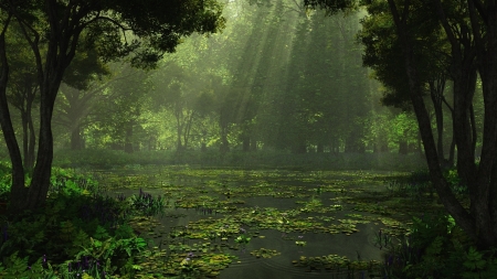 Easy lake - lake, silence, forest, trees