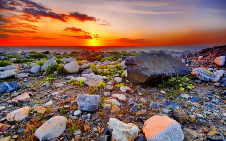 Sea sunset - sky, ocean, summer, shore, sunset, glow, amazing, fiery, beautiful, stones, sea