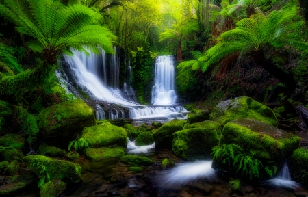 Forest waterfall - trees, cascades, greenery, tropical, waterfall, exotic, forest, beautiful, stones