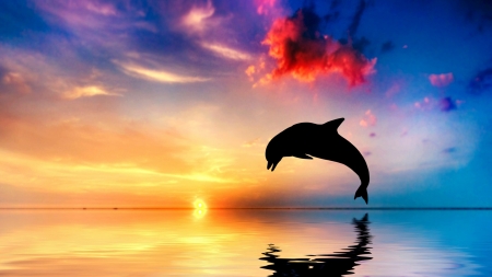 Leaping Dolphin - sky, ocean, sun, colorful, sunset, clouds, sea, sunrise, dolphin