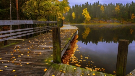 wooden walkway along a lake - reflections, autumn, wood, lake, walkway, leaves