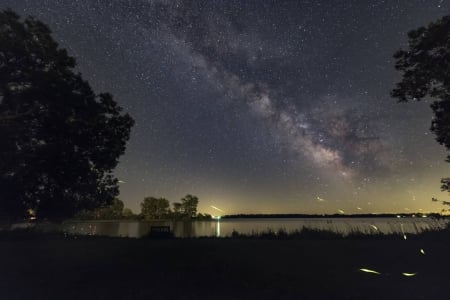 Firefly Trails and the Summer Milky Way - fun, stars, cool, galaxies, space