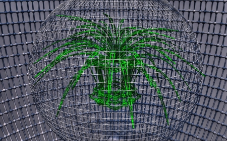 Plant in a cage - abstract, tone mapped, digital, hdr, 3d, plant