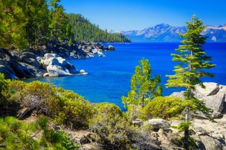 Shoreline of lake Tahoe - trees, summer, coast, shoreline, beautiful, landscape, mountain, Tahoe, lake