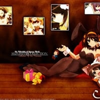 Haruhi Collection |Memories To Share|