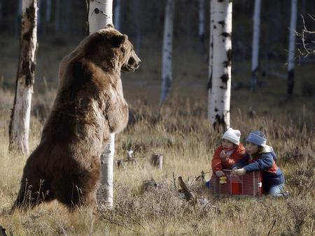 funny - bear, amiable, kids