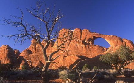 Desert - nature, deserts