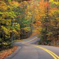 Autumn Road